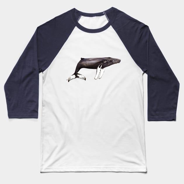 Humpback whale Baseball T-Shirt by chloeyzoard